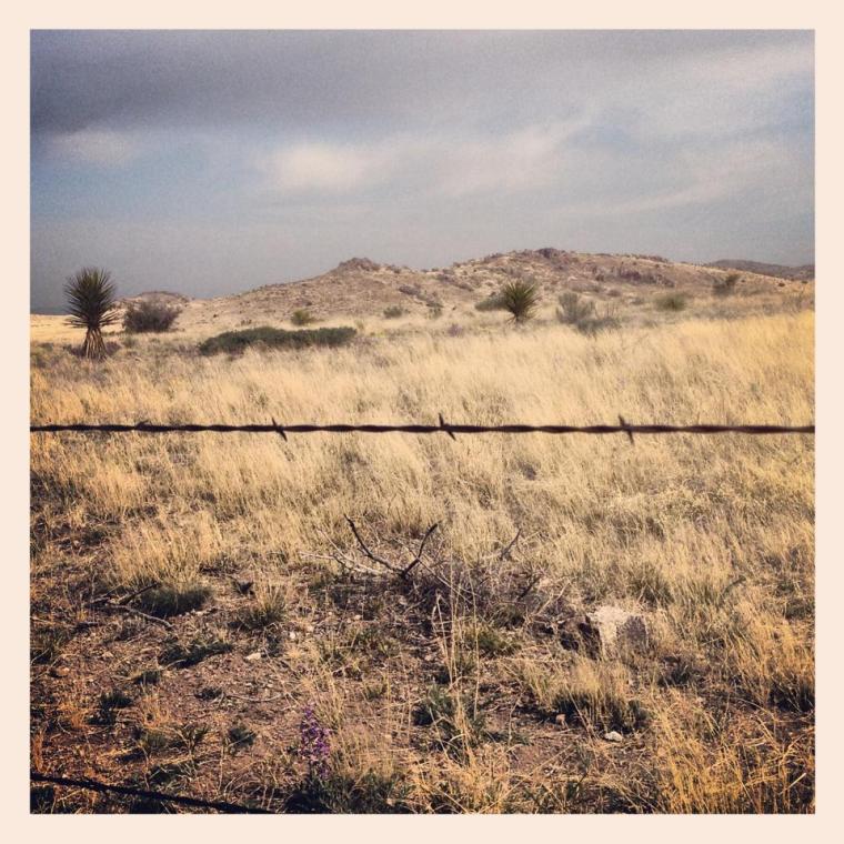 563094_10151554169567241_200507141_n