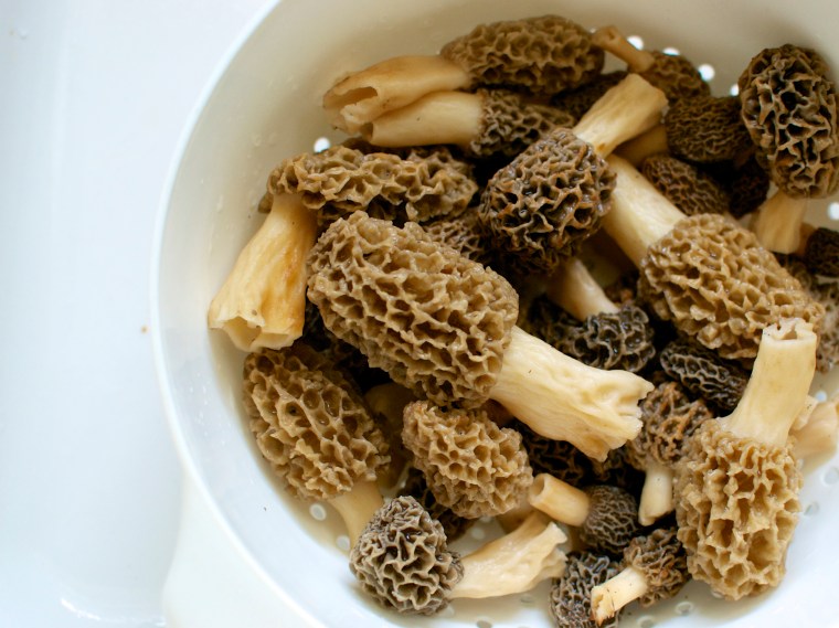 Chicken with Morel Mushroom Sauce